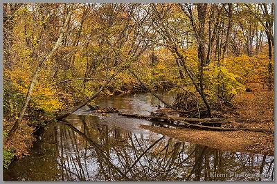 image by Kirms Photography Manasquan River At Hospital Road 2 - Wall